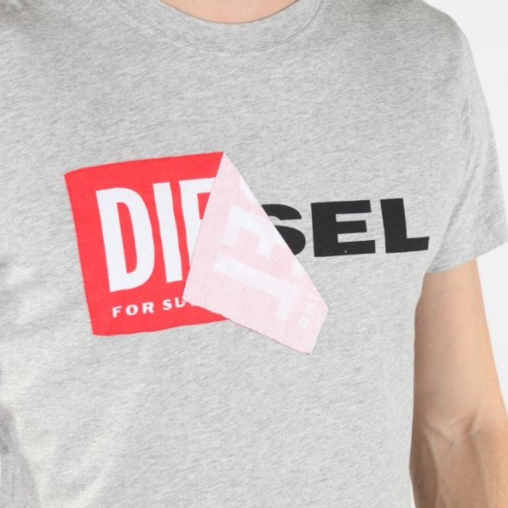 Diesel T-Diego-Qa Logo T-Shirt Grey Size Small - image 1